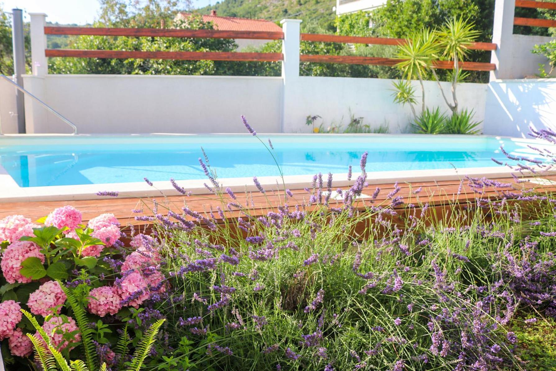 Villa My Rose With A Private Pool Mlini Buitenkant foto